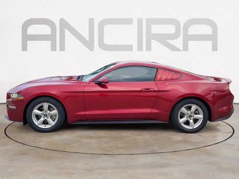 Used 2019 Ford Mustang Coupe RWD image 7