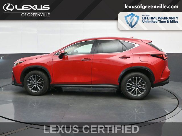 Used 2025 Lexus NX 350h AWD w/ Cold Area Package image 5