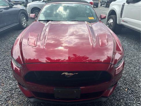 Used 2016 Ford Mustang GT Premium w/ Equipment Group 401A RWD image 4