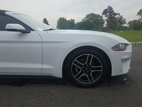 Used 2019 Ford Mustang Premium RWD image 7