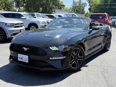 Used 2021 Ford Mustang Premium RWD image 1