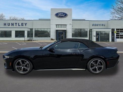 Used 2024 Ford Mustang Premium RWD image 6