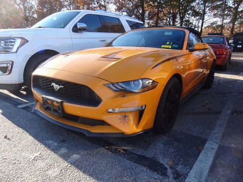 Certified 2019 Ford Mustang Premium w/ Equipment Group 201A image 3