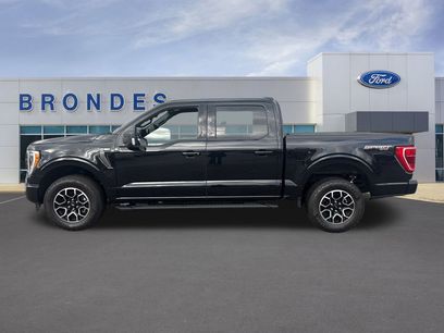 Used 2023 Ford F150 XLT w/ Equipment Group 302A High