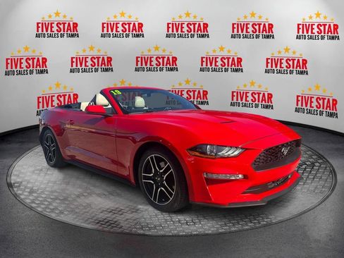 Used 2019 Ford Mustang Premium RWD image 1