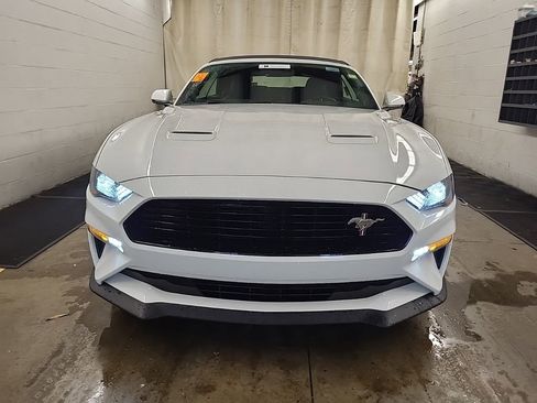 Used 2019 Ford Mustang GT Premium w/ Equipment Group 401A image 2