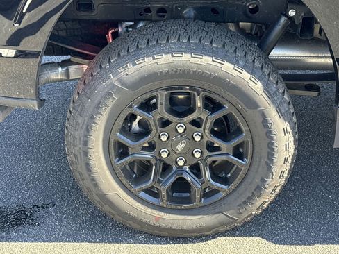 New 2025 Ford F150 XLT w/ Equipment Group 302A MID image 17