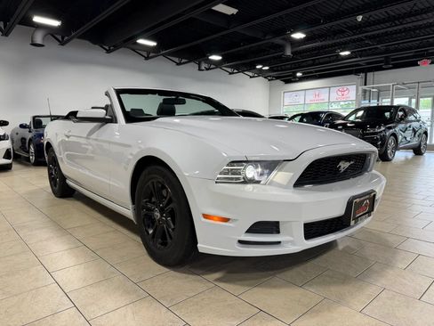 Used 2014 Ford Mustang Premium RWD image 12