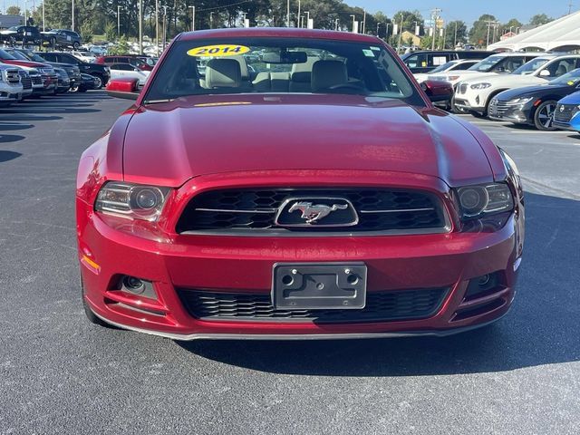 Used 2014 Ford Mustang Premium w/ Equipment Group 202A RWD image 2