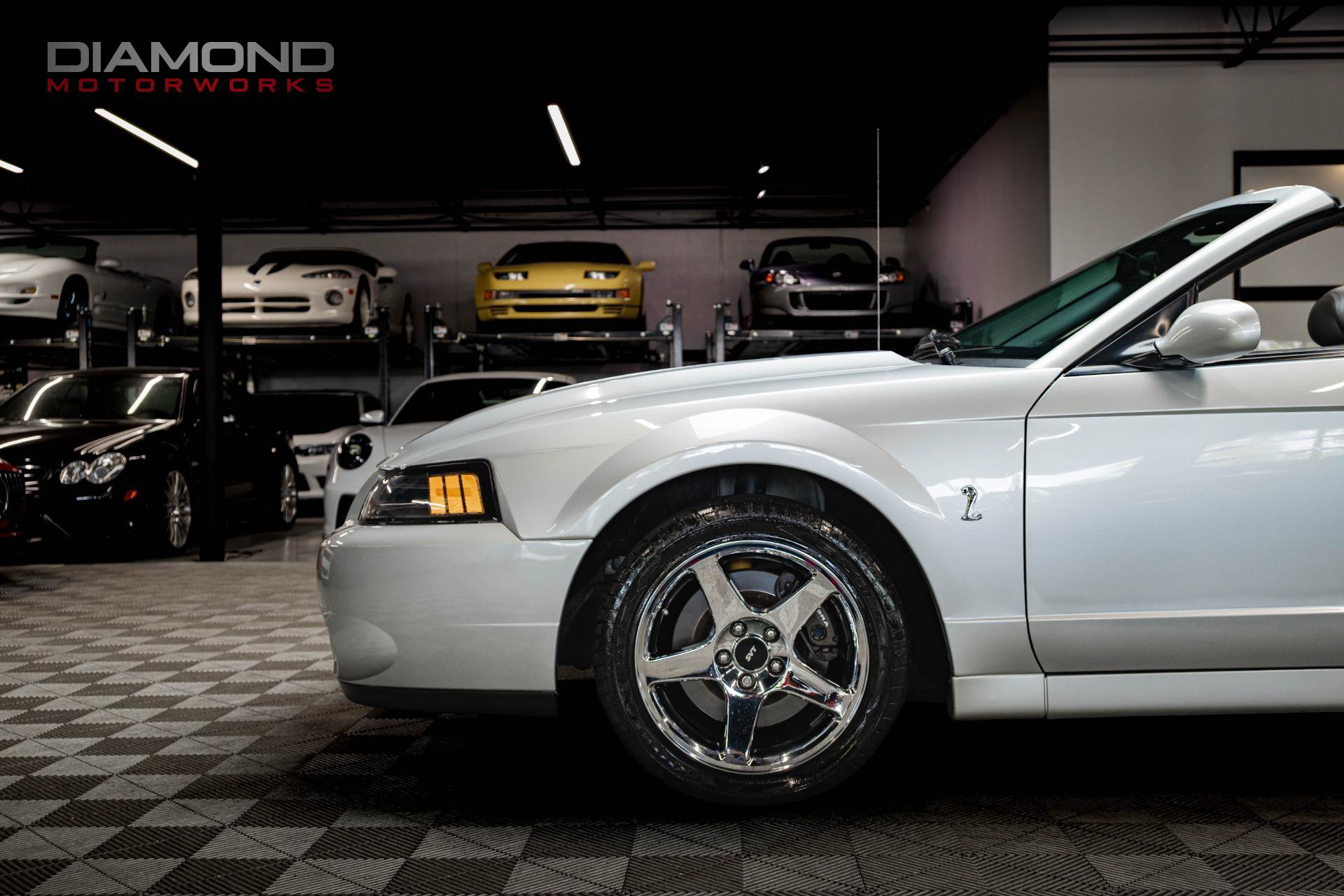 Used 2004 Ford Mustang Cobra RWD image 12