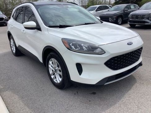 Used 2020 Ford Escape SE image 3