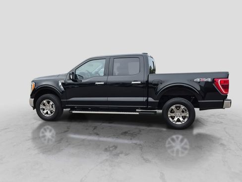 Used 2023 Ford F150 XLT w/ Equipment Group 302A High AWD/4WD image 5