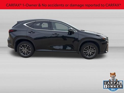 Used 2024 Lexus NX 350h AWD image 2