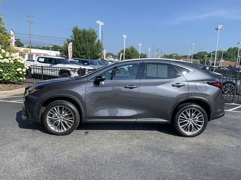 Used 2025 Lexus NX 350h AWD w/ Cold Area Package image 5