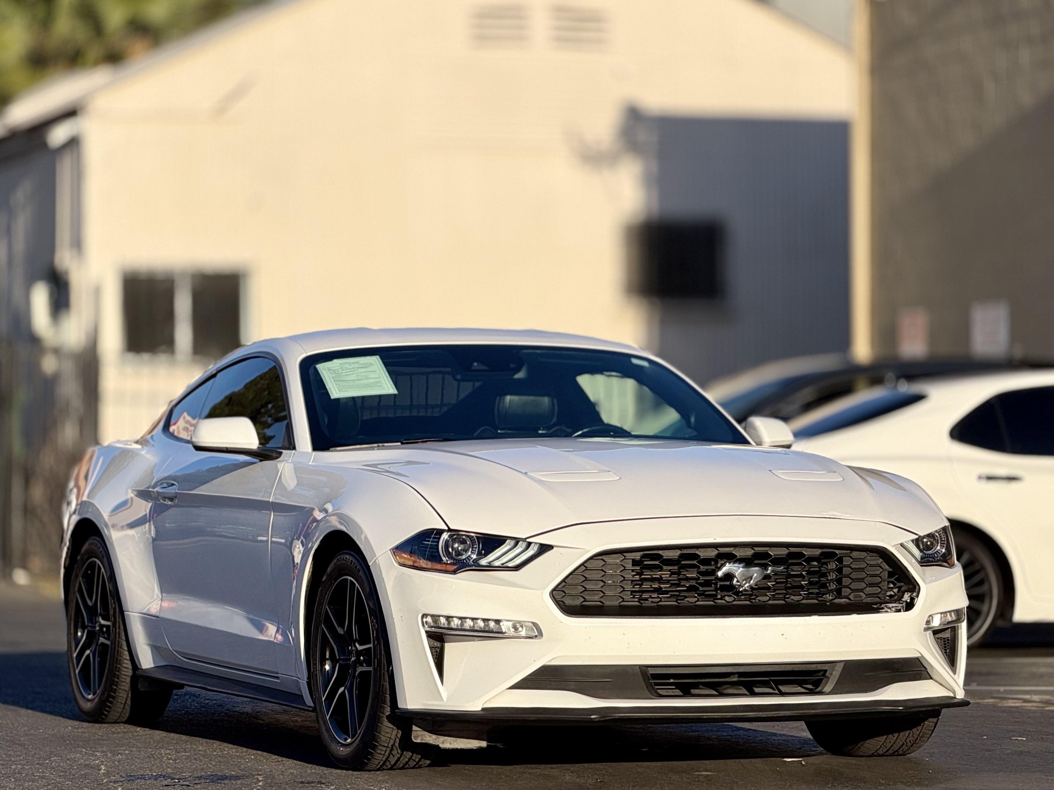 Used 2021 Ford Mustang Premium RWD image 2