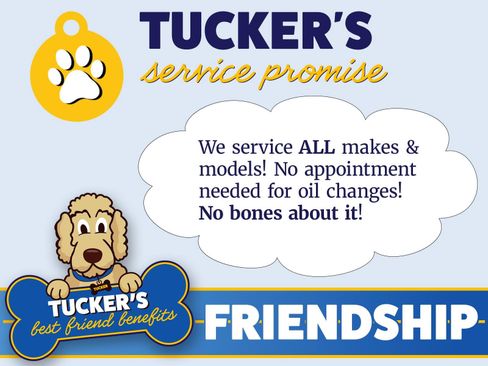 Used 2024 Subaru Forester Wilderness AWD/4WD image 14