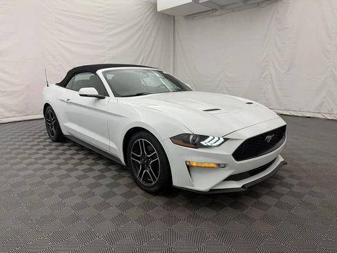 Used 2018 Ford Mustang Premium w/ Equipment Group 201A RWD image 11