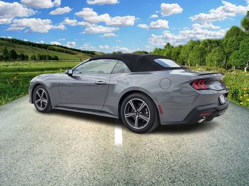 Used 2024 Ford Mustang Premium image 4