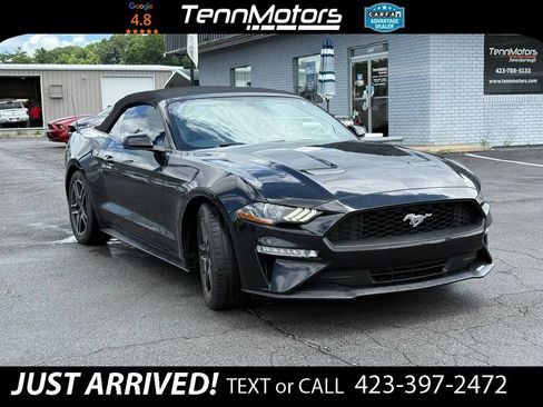 Used 2018 Ford Mustang Premium w/ Equipment Group 201A RWD image 4