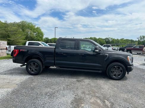 Used 2023 Ford F150 XLT w/ Equipment Group 302A High AWD/4WD image 15