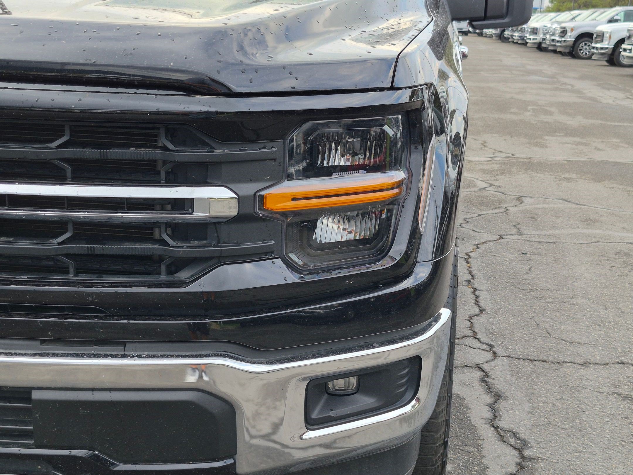 Used 2025 Ford F150 XLT w/ Equipment Group 301A Standard AWD/4WD image 13