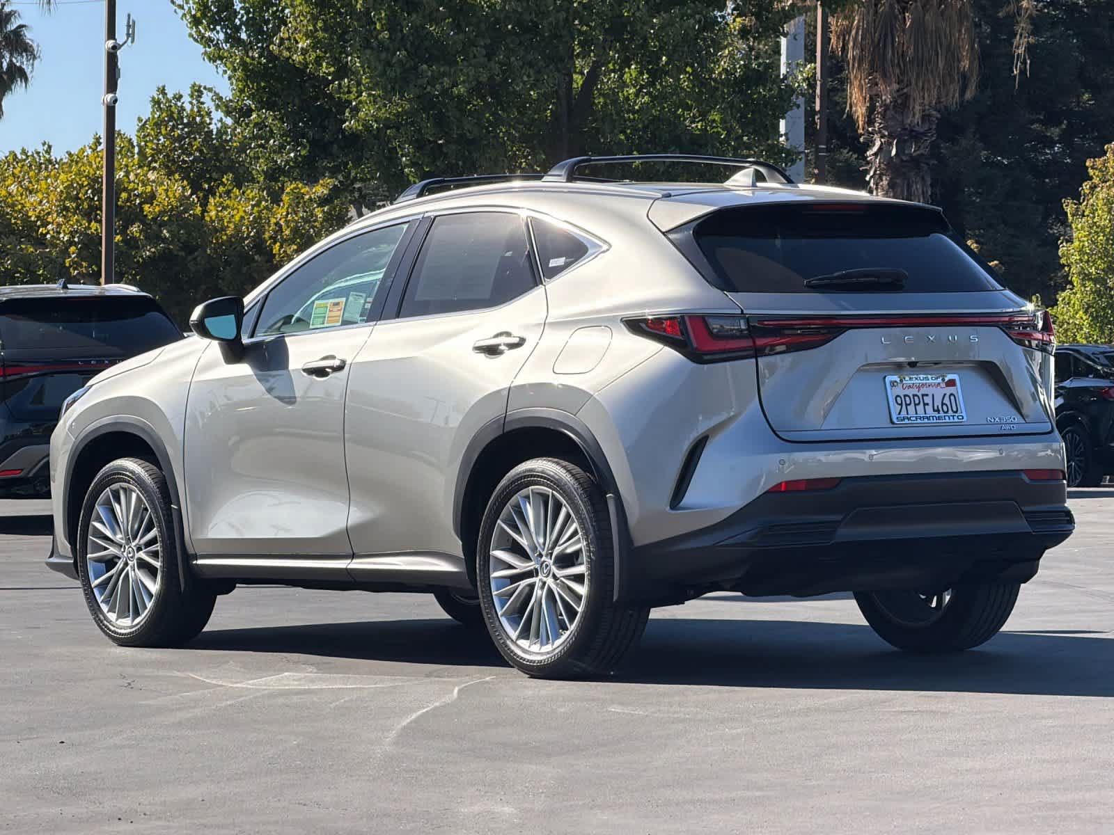 Certified 2025 Lexus NX 350 AWD w/ Cold Area Package image 7