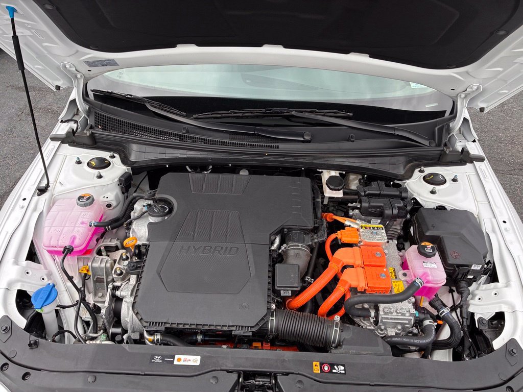 Certified 2025 Hyundai Elantra Limited FWD image 9