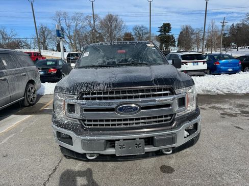 Used 2019 Ford F150 XLT w/ Equipment Group 302A Luxury image 3
