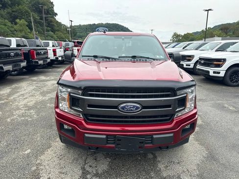 Used 2019 Ford F150 XLT w/ Equipment Group 302A Luxury AWD/4WD image 5