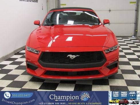 Used 2024 Ford Mustang Premium RWD image 3