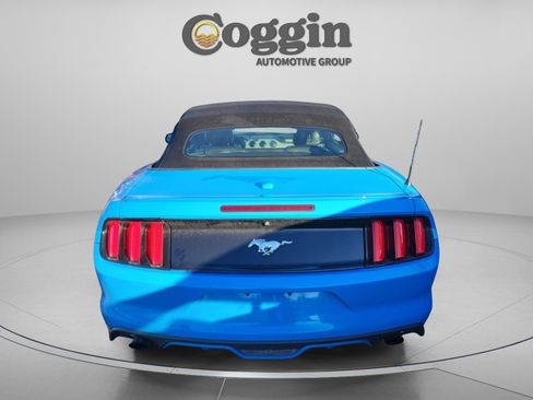 Used 2017 Ford Mustang Premium image 3