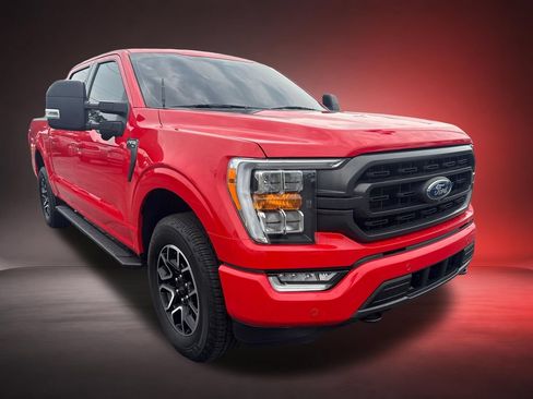 Used 2023 Ford F150 XLT w/ Equipment Group 302A High AWD/4WD image 3