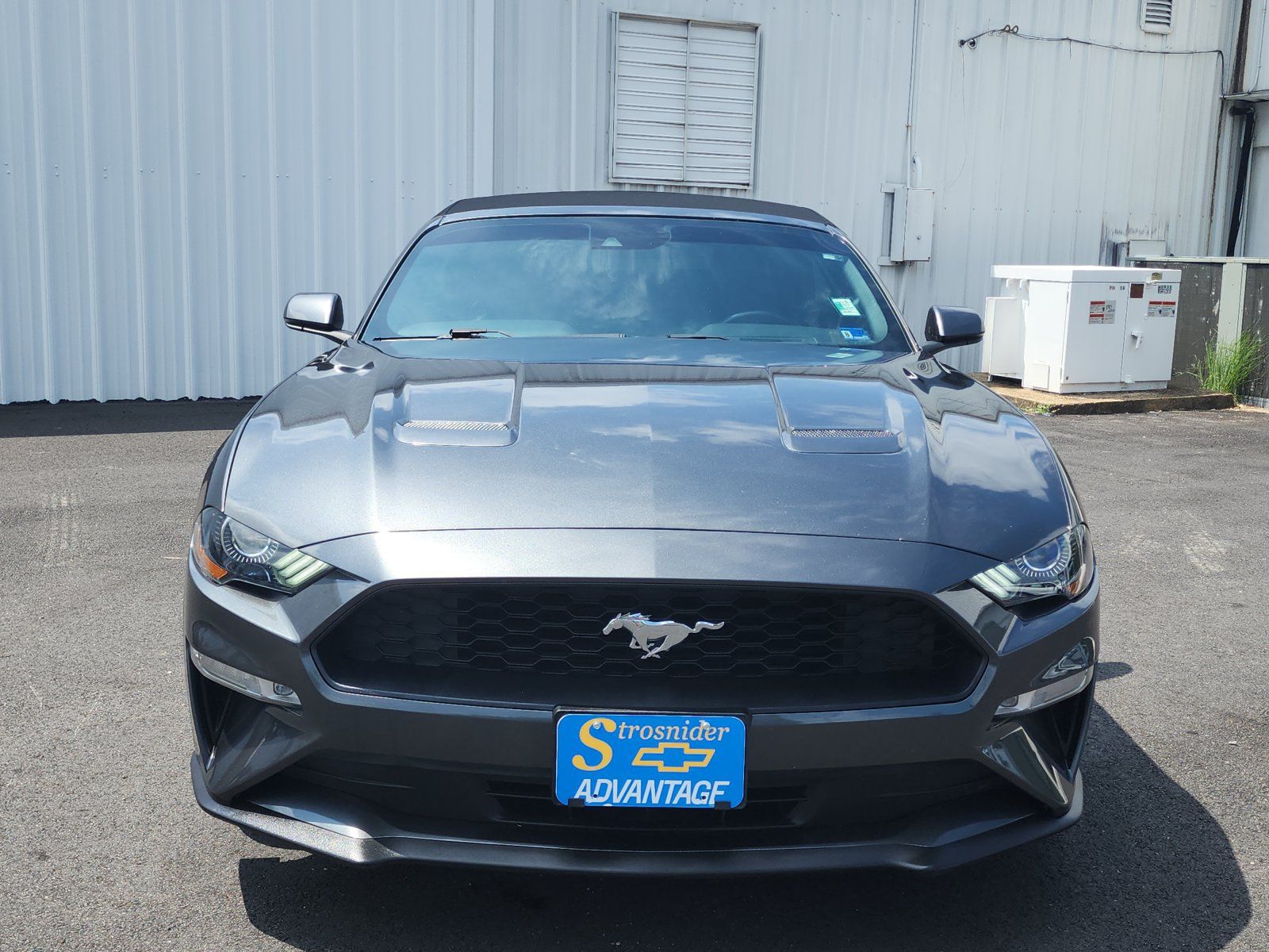 Used 2019 Ford Mustang Premium w/ Equipment Group 201A RWD image 8