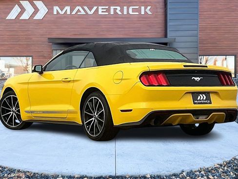 Used 2017 Ford Mustang Premium w/ Equipment Group 201A image 4