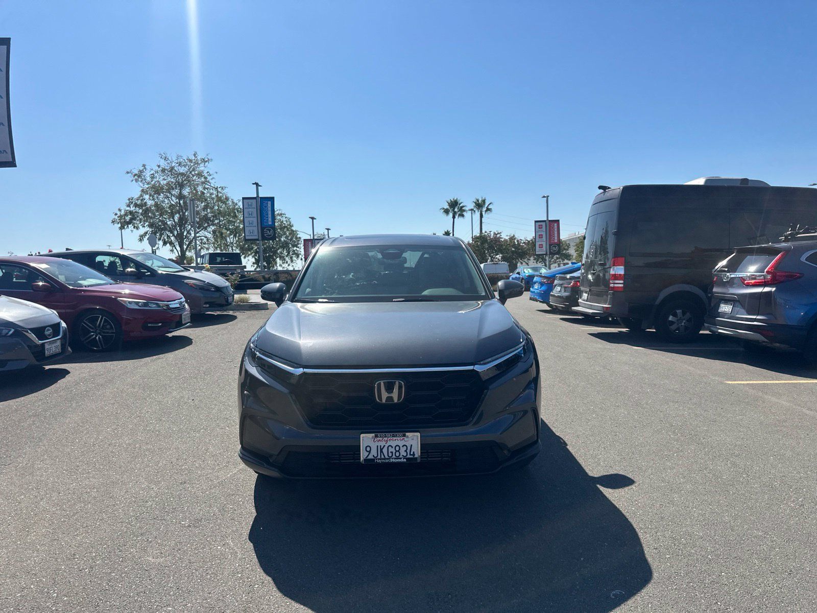 Used 2024 Honda CR-V EX image 1