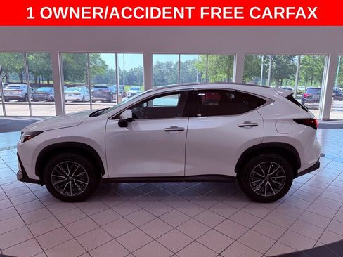 Certified 2024 Lexus NX 350h AWD w/ Cold Area Package image 4
