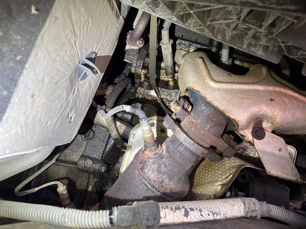 Used 2009 Jeep Wrangler Sahara AWD/4WD image 11