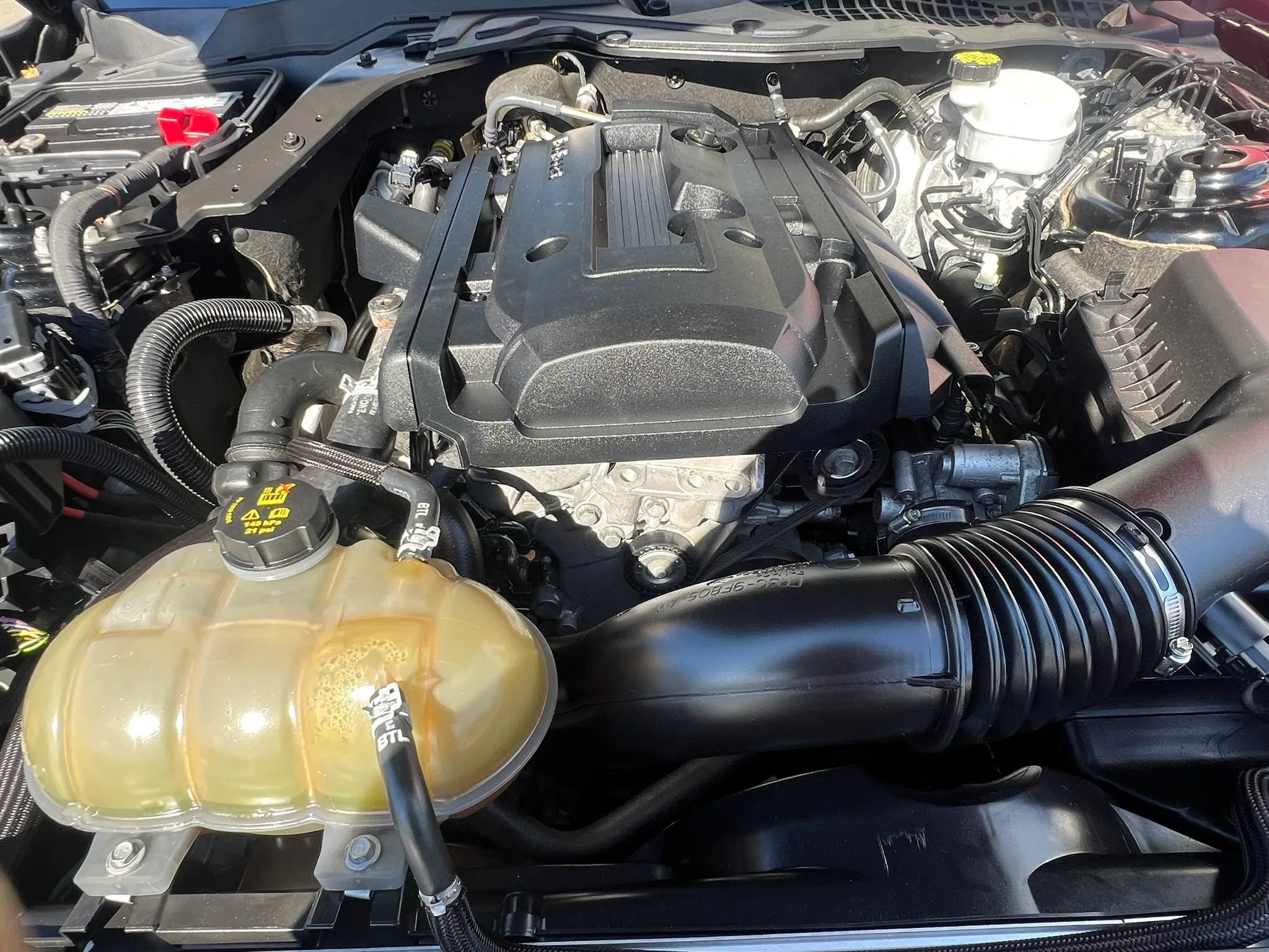 Used 2018 Ford Mustang Coupe RWD image 30