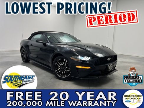 Used 2023 Ford Mustang Premium image 1