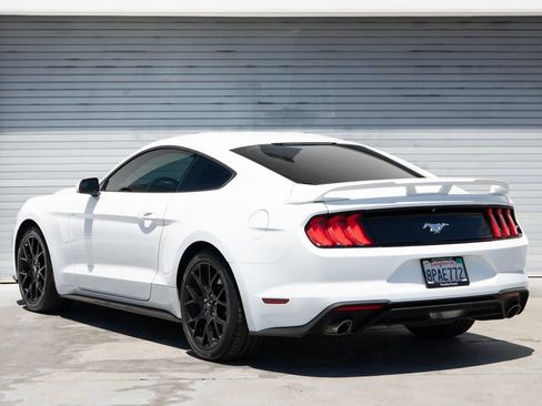 Used 2019 Ford Mustang Coupe w/ Ecoboost Performance Package RWD image 5
