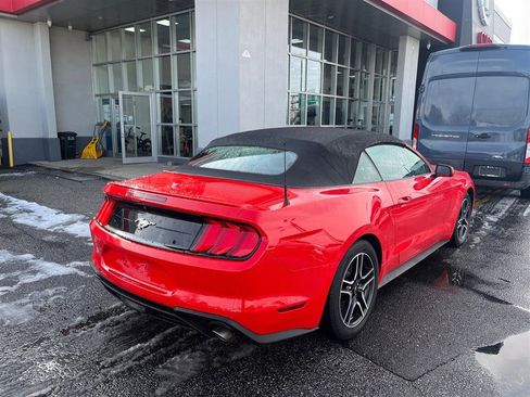 Used 2022 Ford Mustang Premium image 7