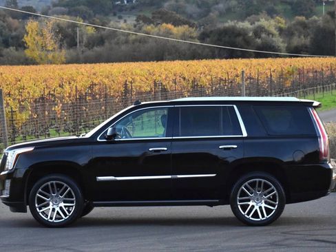 Used 2015 Cadillac Escalade Premium image 20
