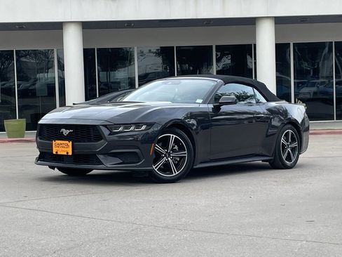 Used 2024 Ford Mustang Premium image 1