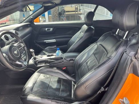 Used 2019 Ford Mustang Premium w/ Equipment Group 201A RWD image 9