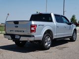 Used 2019 Ford F150 XLT w/ Equipment Group 302A Luxury image 5
