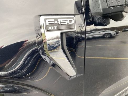 New 2025 Ford F150 XLT w/ Equipment Group 303A High image 37