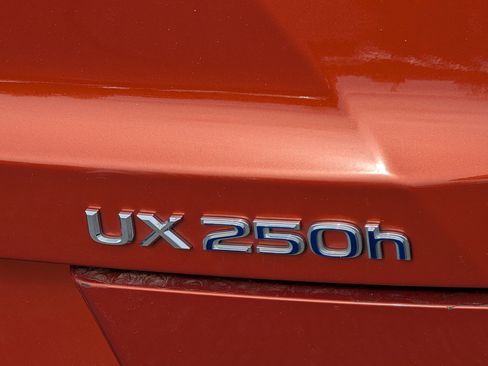 Used 2020 Lexus UX 250h w/ Premium Package image 6