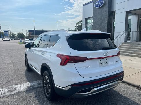 Used 2023 Hyundai Santa Fe Blue AWD/4WD image 6