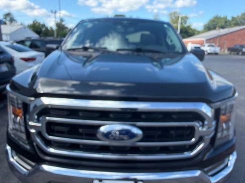 Used 2023 Ford F150 XLT w/ Equipment Group 302A High AWD/4WD image 6