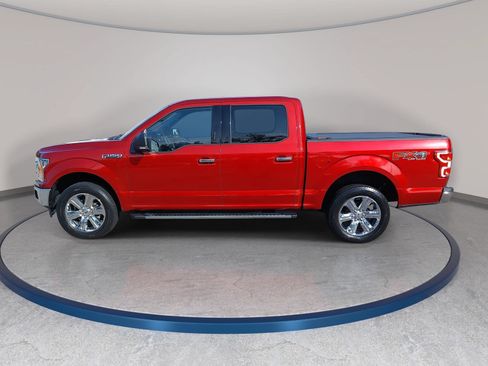 Used 2019 Ford F150 XLT w/ Equipment Group 302A Luxury AWD/4WD image 8